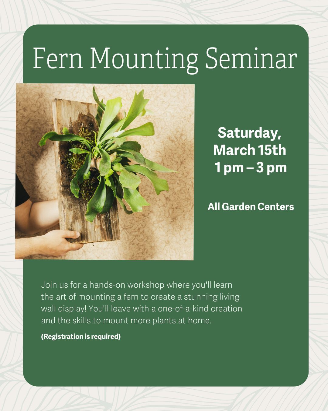 Fern Mounting Workshop