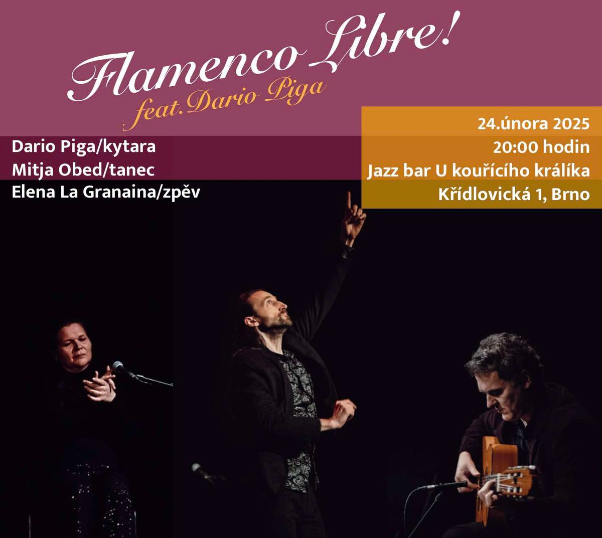 Trio Flamenco \/ Dario Piga (kytara)-Elena la Granaina (zp\u011bv)-Mitja Obed (tanec)