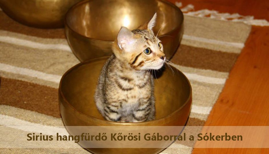 Sirius hangf\u00fcrd\u0151 K\u0151r\u00f6si G\u00e1borral a S\u00f3kerben