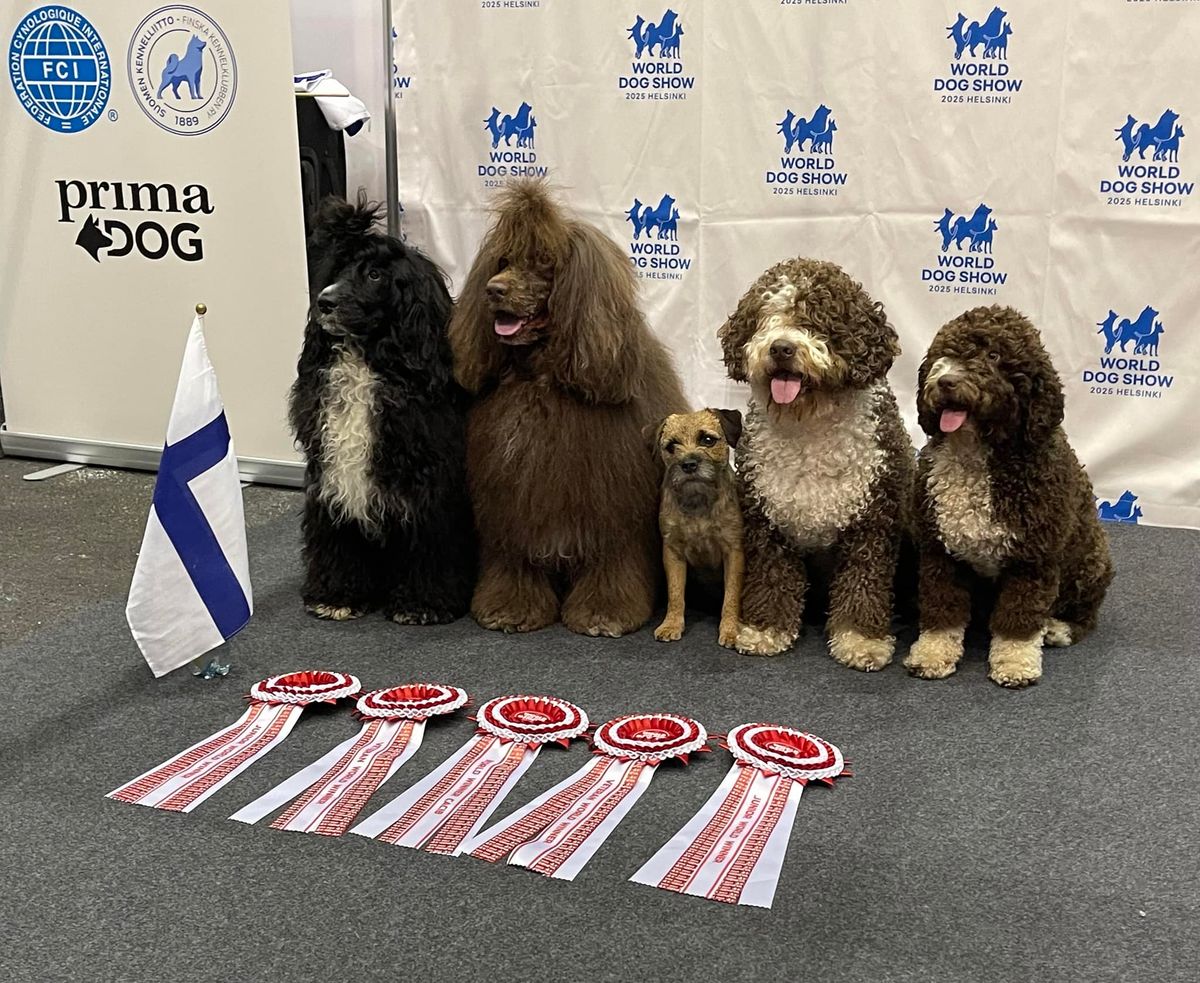 FCI World Dog Show 2025 in Helsinki