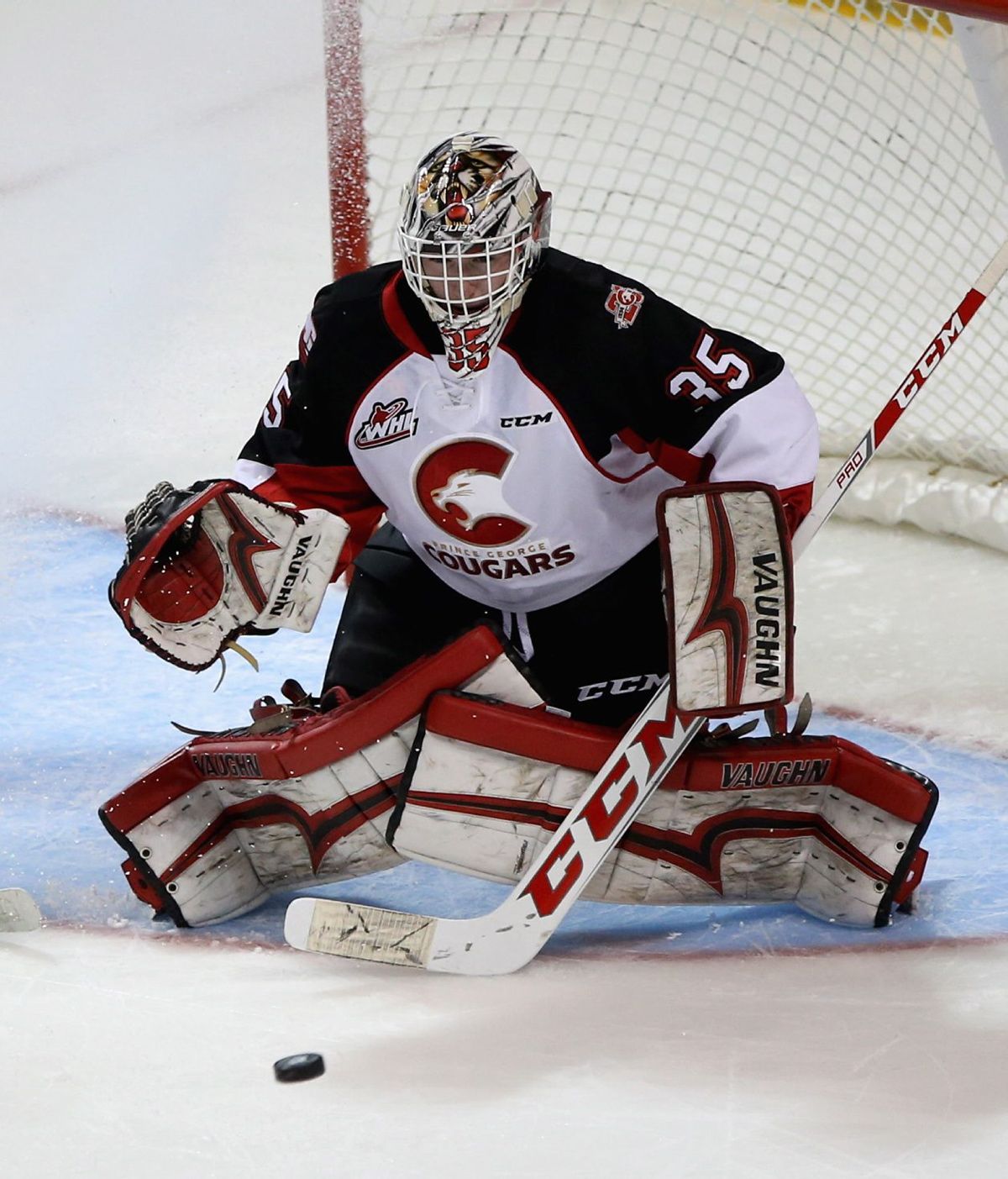 Victoria Royals at Prince George Cougars at The CN Centre