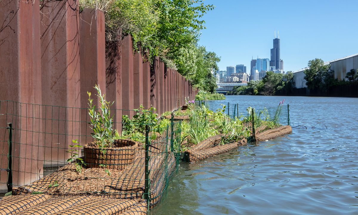 Teacher Workshop: Exploring Climate Impacts on the Chicago River