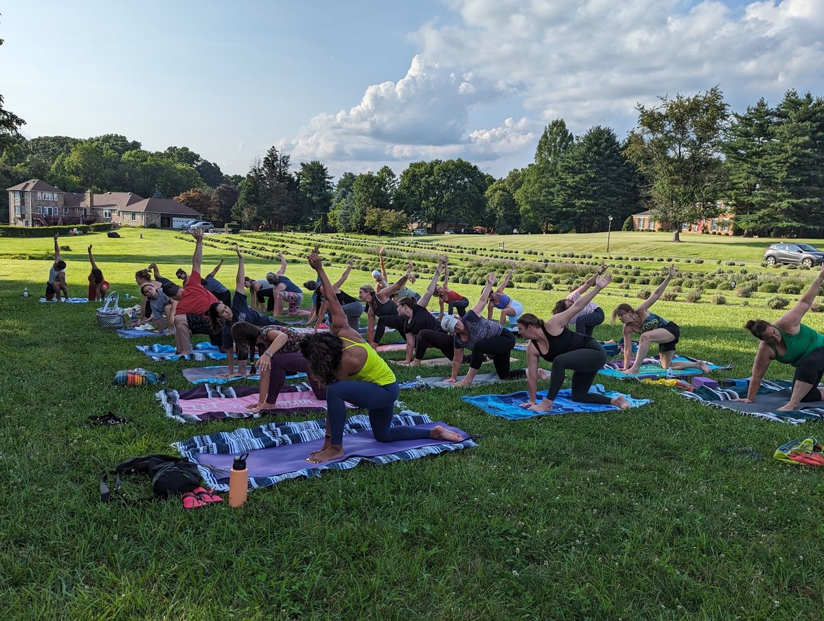 Prana & Picnic~ Yoga & Lavender ?