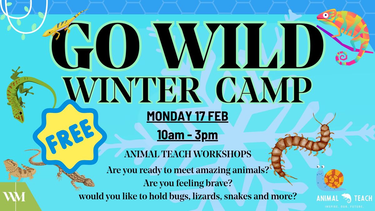 Go Wild Winter Camp