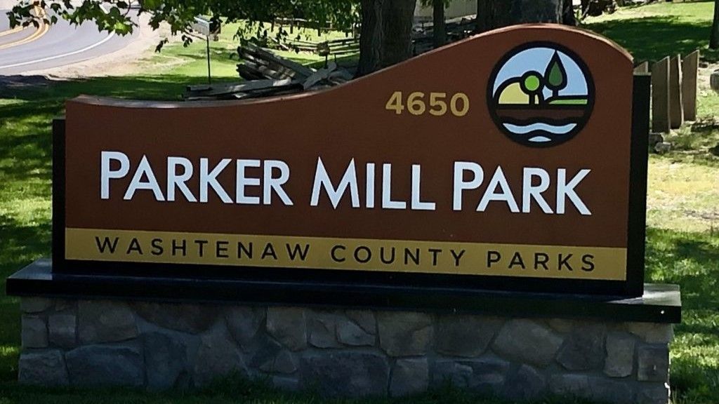 Birding Parker Mill County Park