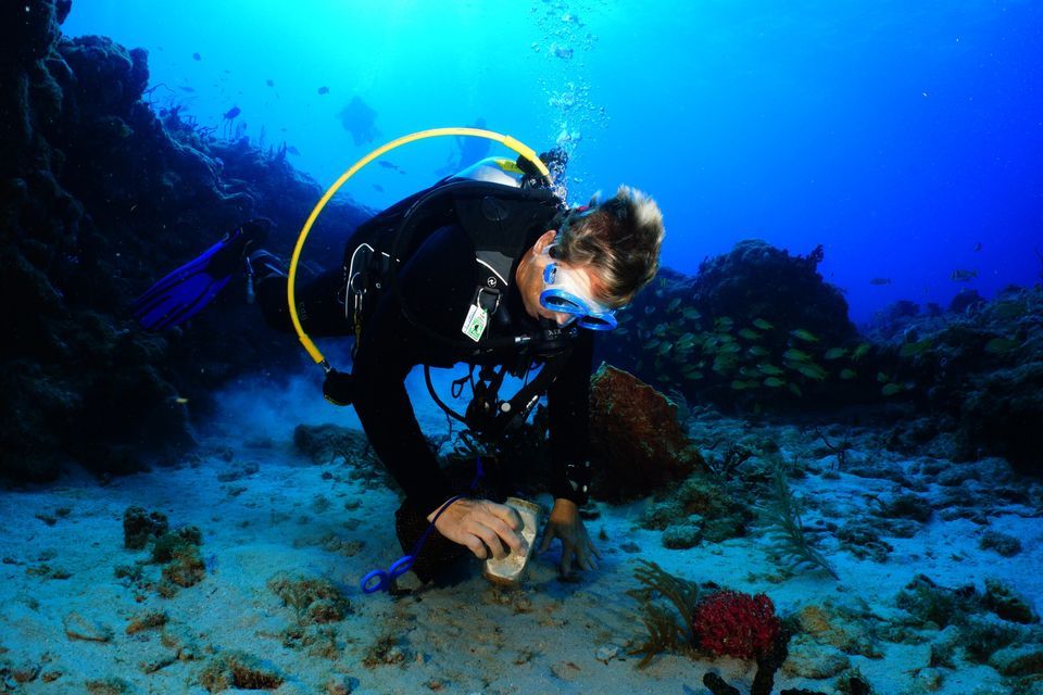 11th annual Southeast Florida Reef Clean-up, South Florida Diving ...