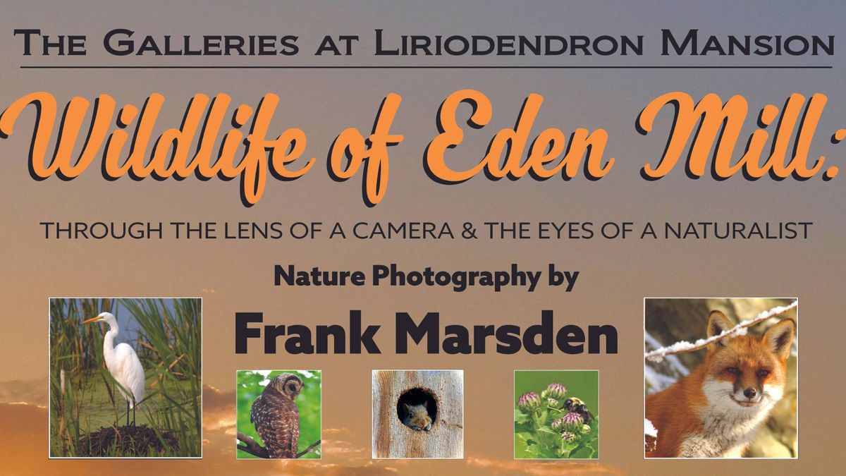 Wildlife of Eden Mill: Through the Lens of a Camera and the Eyes of a Naturalist