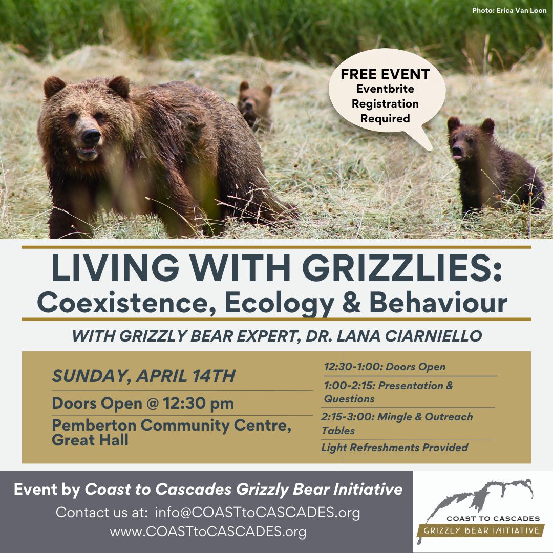 Grizzly Bear at Salt Shed - Indoor Shed
