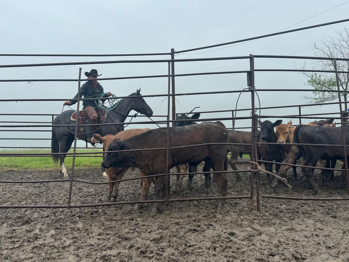 Intro to Ranch Roping: December 2024