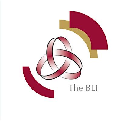 Believe Learning Institute