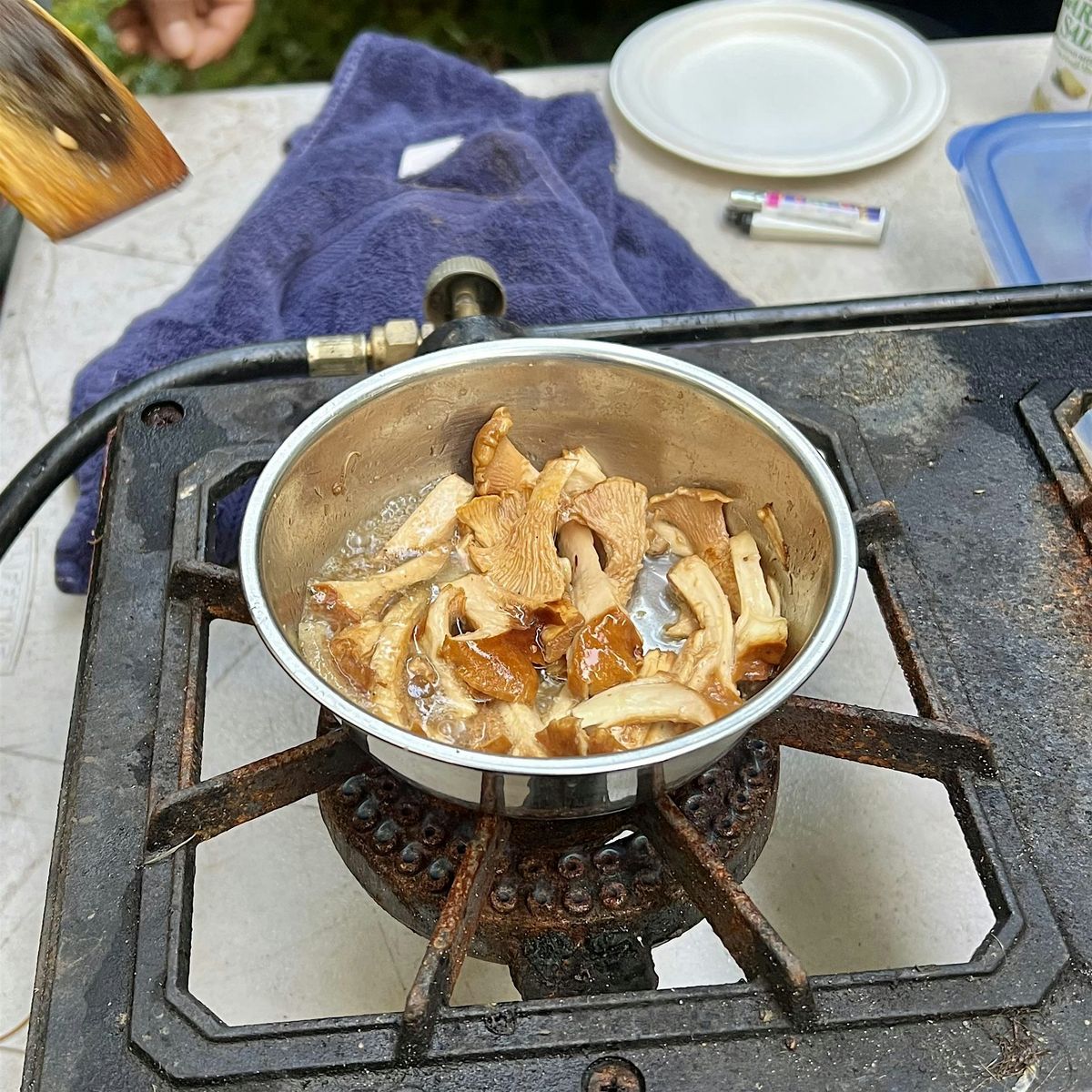 Mushroom Hunting and Culinary Demonstration