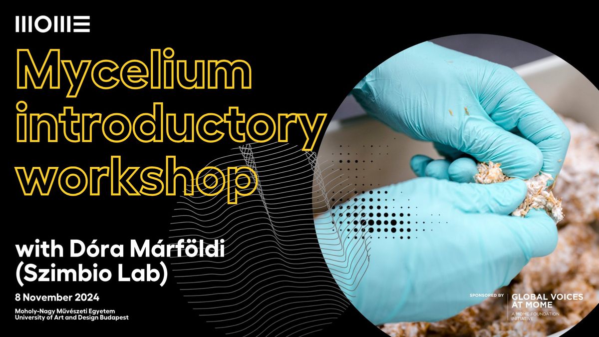 Mycelium introductory workshop