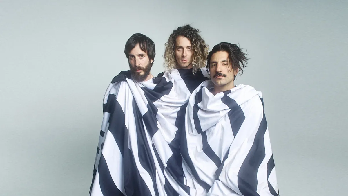 Sexy Zebras in Alicante (alacant)