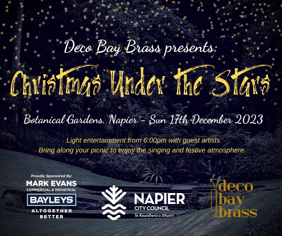 Christmas Under The Stars