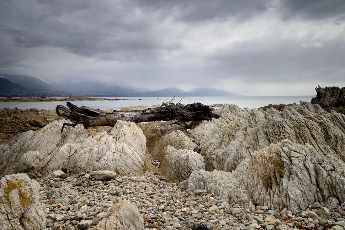 Potsdamer Naturfoto- Herbst: Aotearoa (Neuseeland) Das Land der langen wei\u00dfen Wolke