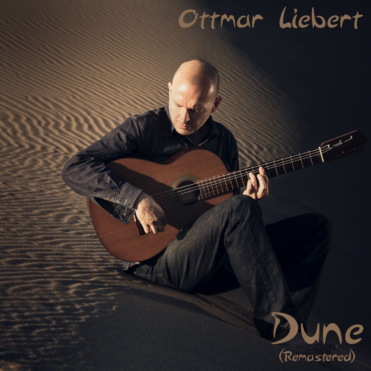 Ottmar Liebert with Luna Negra