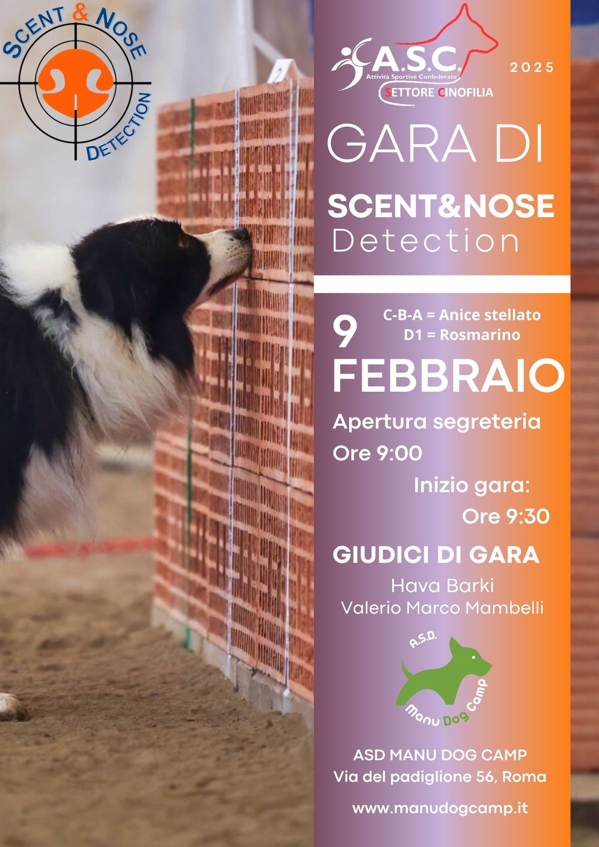 Gara di Scent&Nose detection