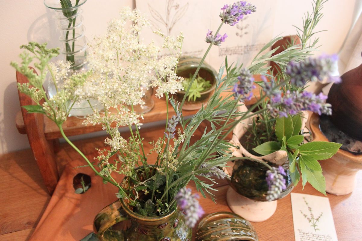 The History and Folklore of Herbs