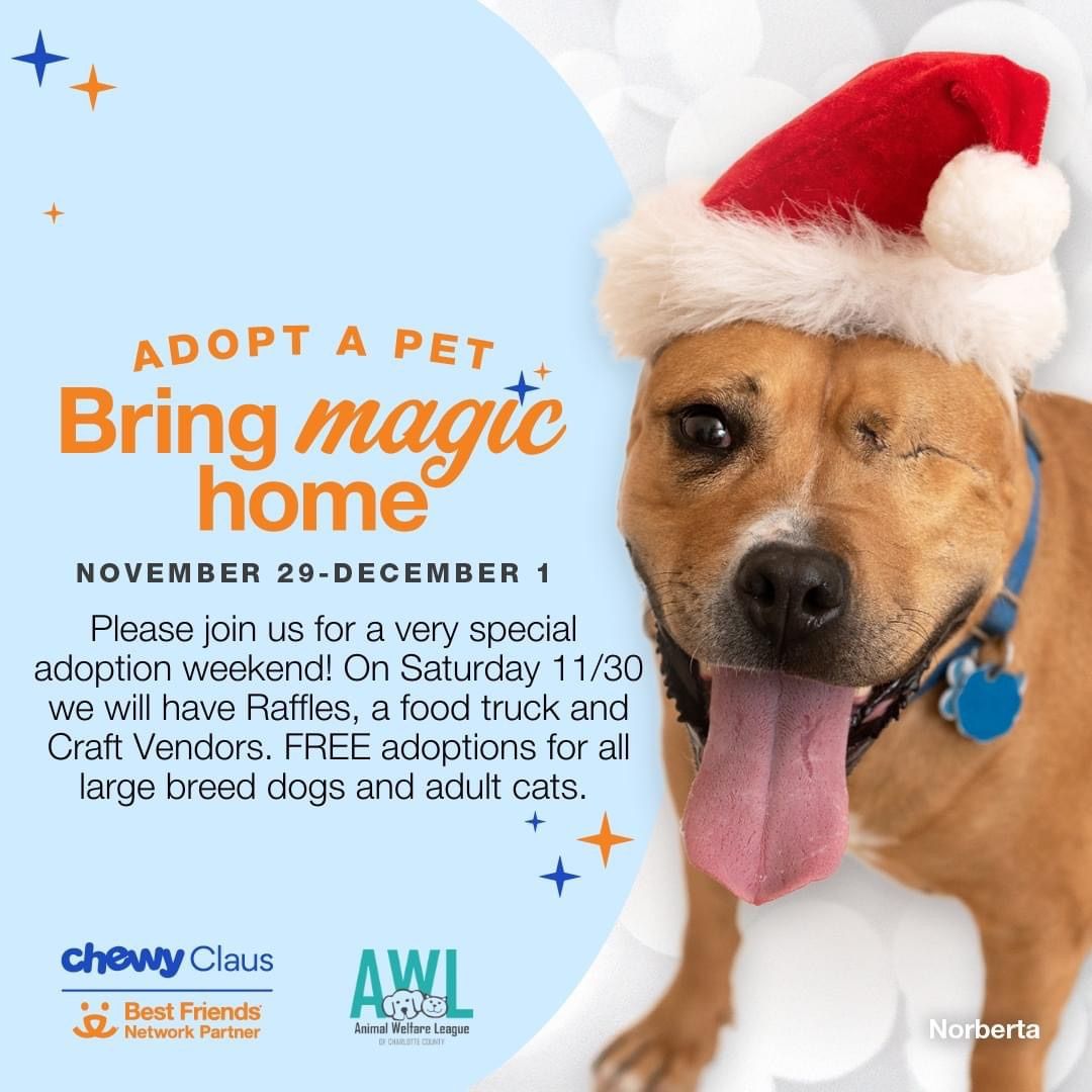 "Home for the Holidays: Adopt & Adore"