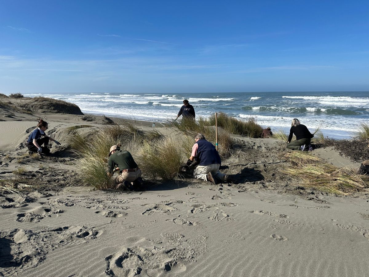 Dune Ecosystem Restoration Team (DERT) Volunteer Work Day