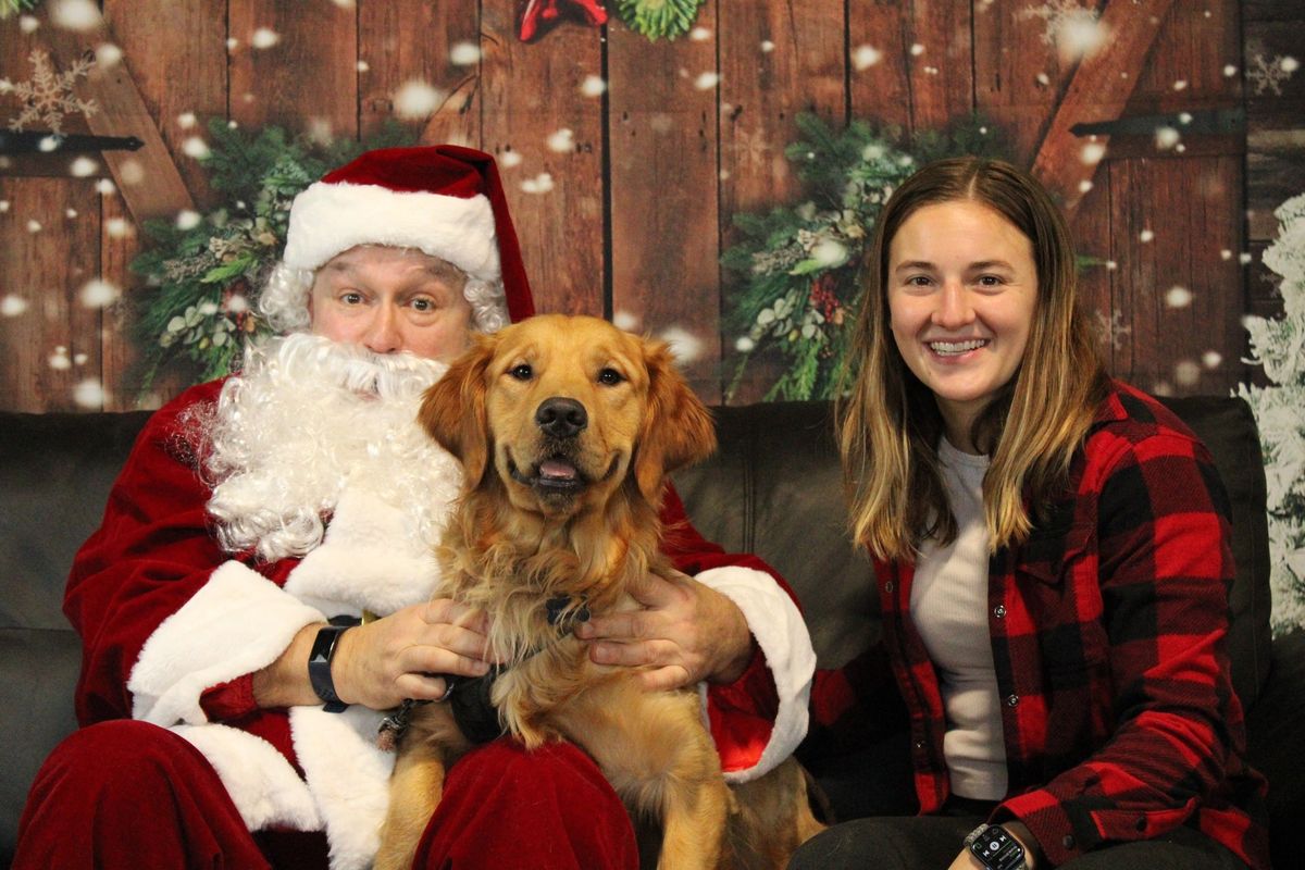 Dog Pictures With Santa