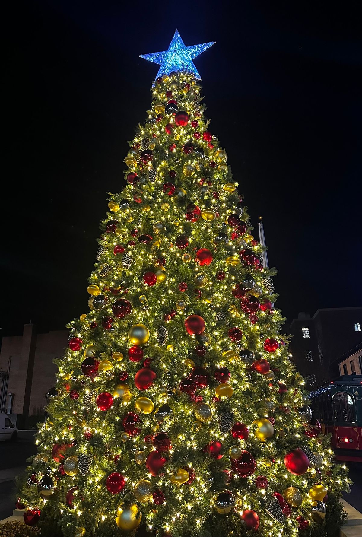 Christmas Tree Lighting Ceremony 