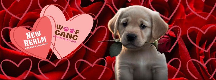 Galentines Day Brunch: Puppy Love Unleashed 