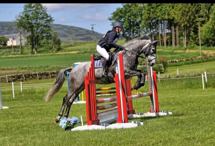 Show Jumping