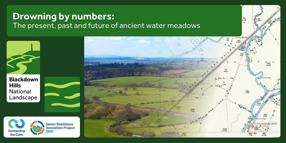 Drowning by numbers: the past, present and future of ancient water meadows