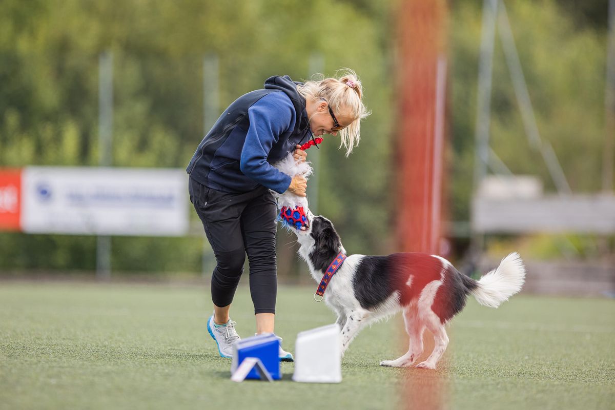 Agility Get Going Nov - m\/ Line Coucheron