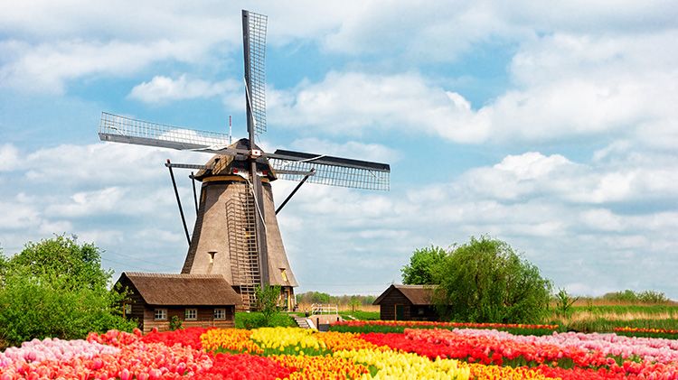 Amsterdam and Flower Parade