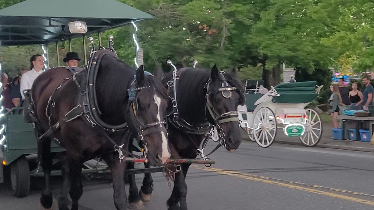 Ban Horse Carriages