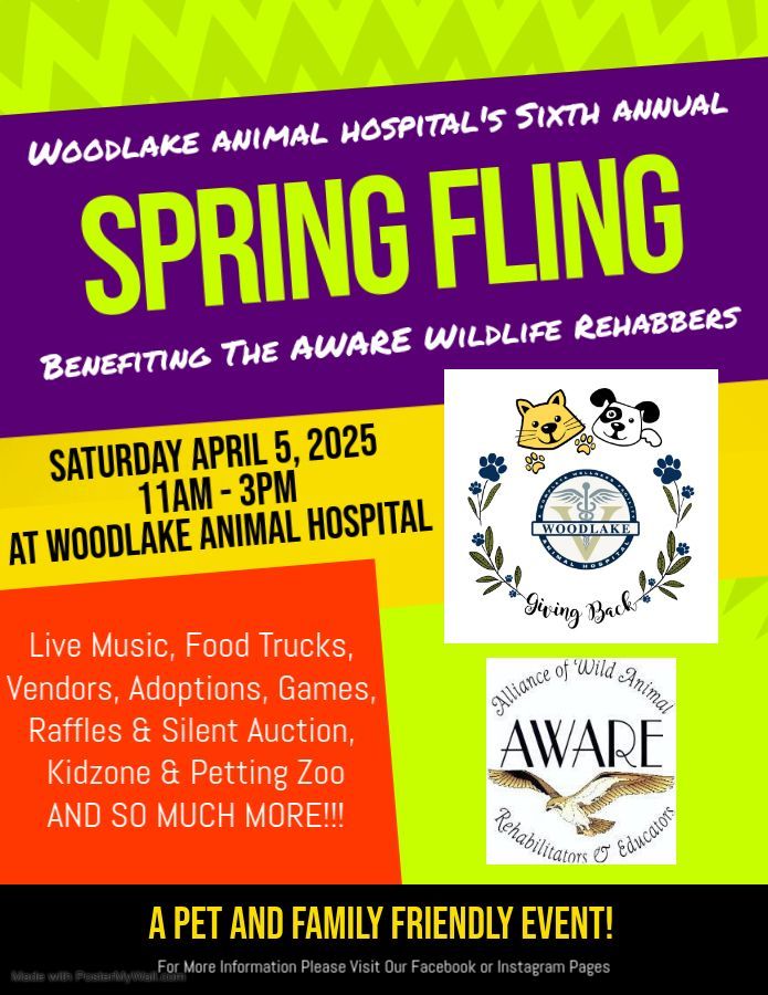 The Sixth Annual Spring Fling