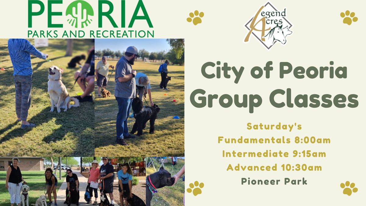 Canine Group Classes 