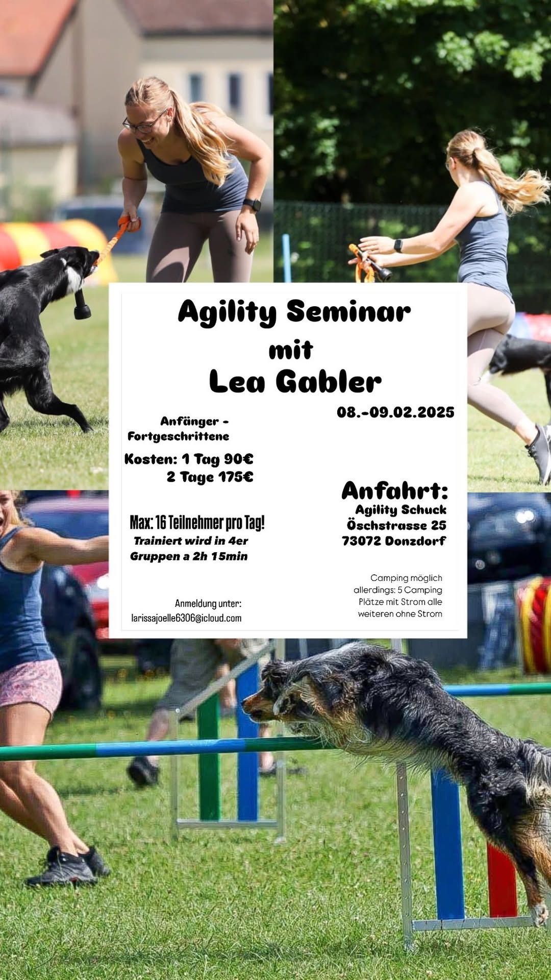 Agility Seminar mit Lea Gabler 