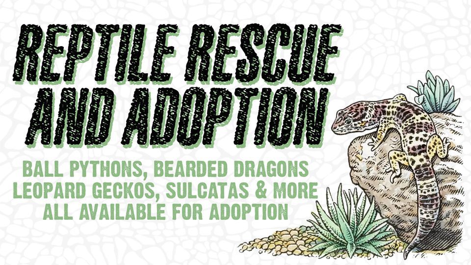 Reptile Rescue and Adoption