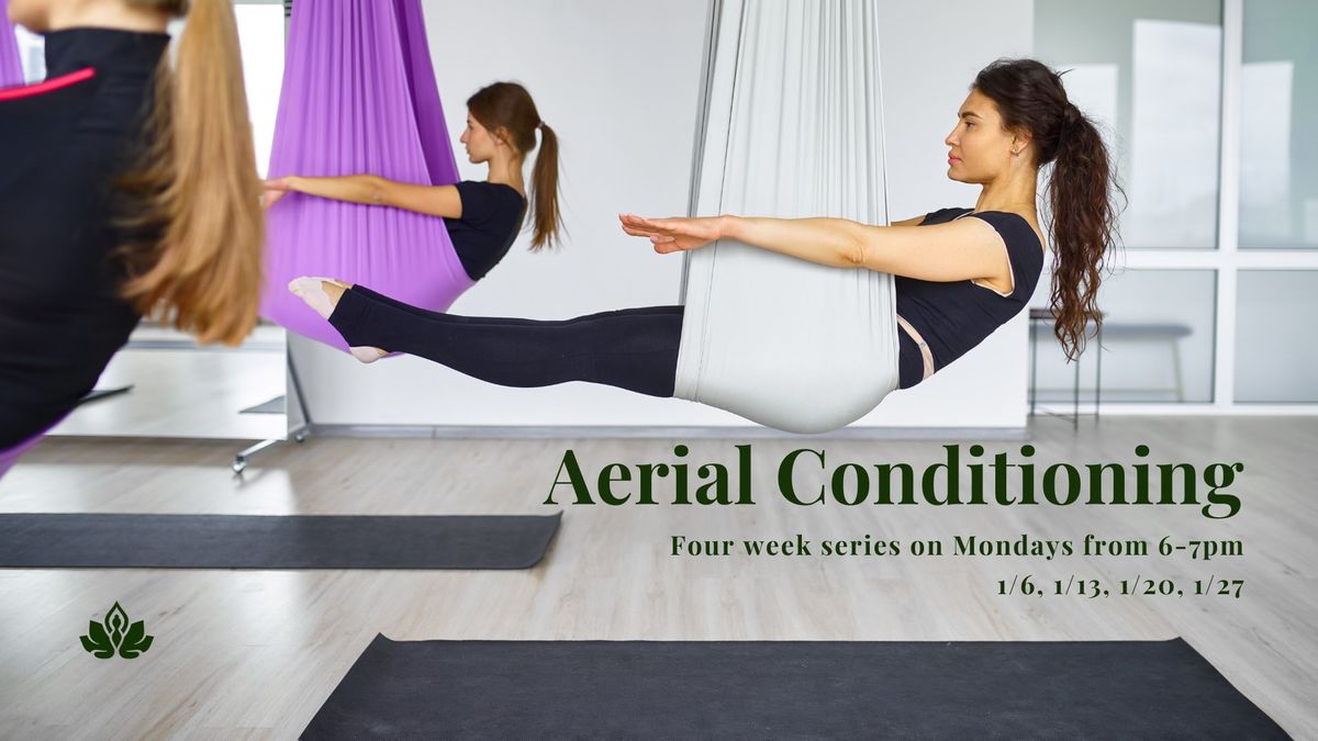 Aerial Conditioning with Anna VanHorn (4 Week Series)