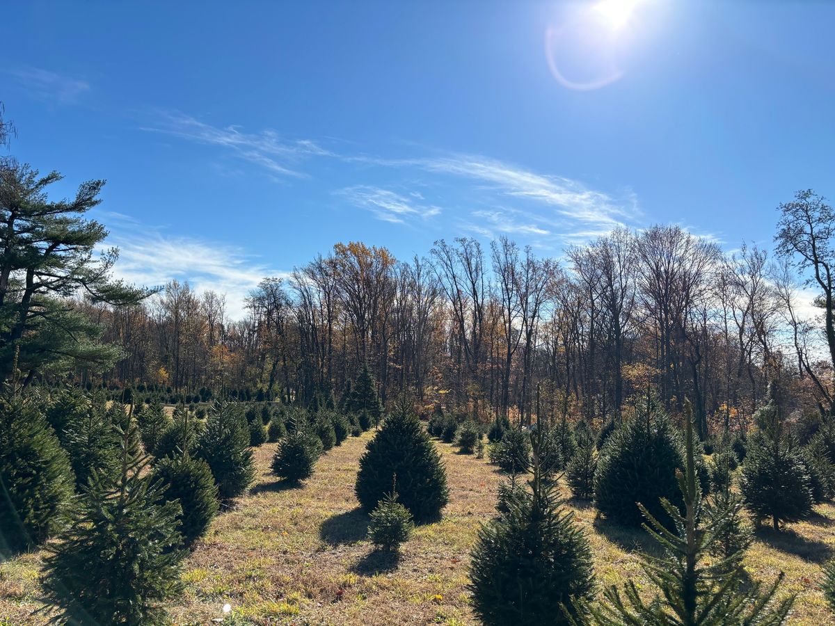 Borough of National Park Tree Lighting Ceremony 