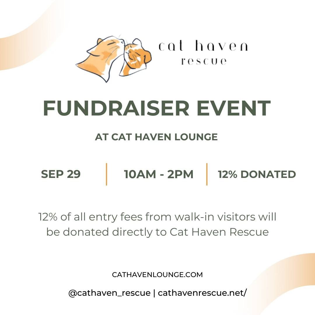 Cat Haven Rescue Fundraiser