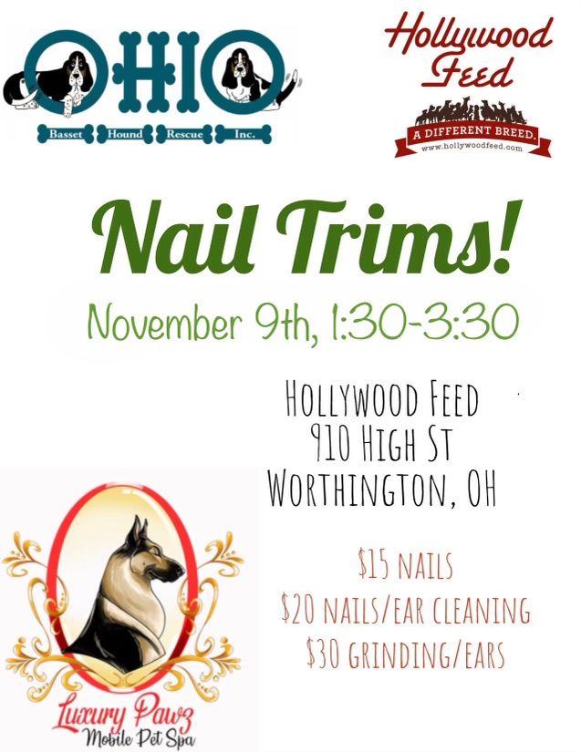 Nail Trim at Hollywood Feed! 