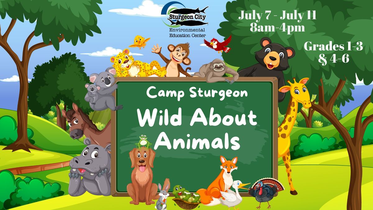 Camp Sturgeon Wild About Animals