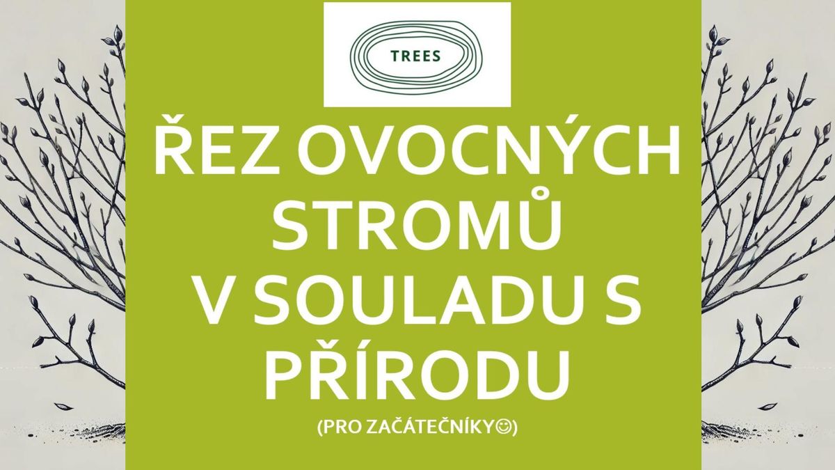 \u0158ez ovocn\u00fdch strom\u016f v souladu s p\u0159\u00edrodou pro \u00fapln\u00e9 za\u010d\u00e1te\u010dn\u00edky