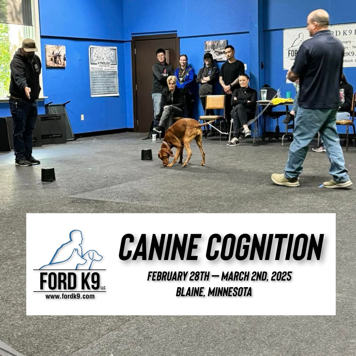 Canine Cognition with Cameron Ford