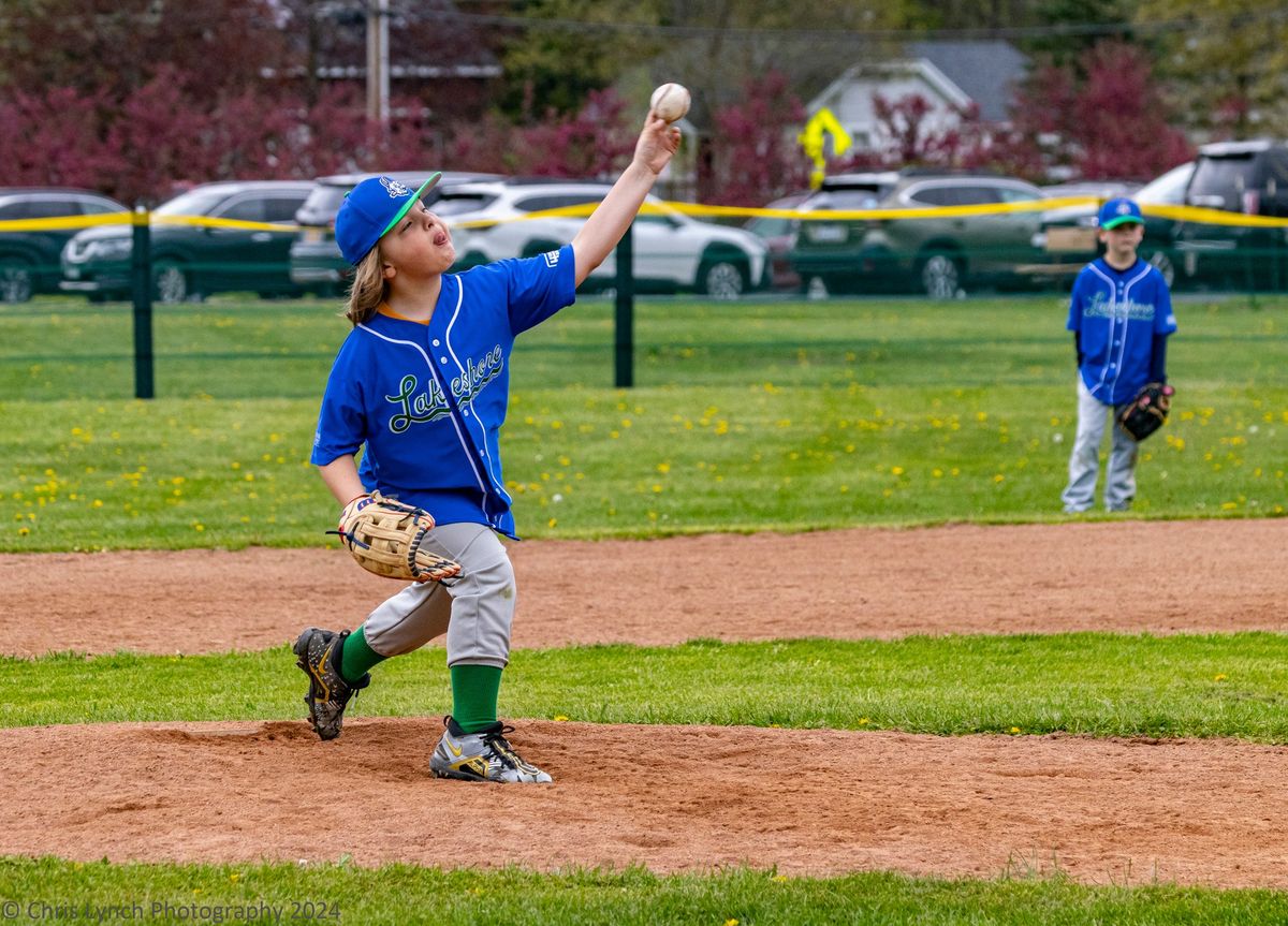 Lakeshore Minors Baseball Skills Clinics