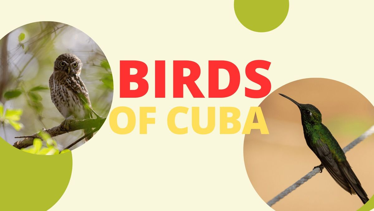 Birdwatch Ireland Lecture - Birds of Cuba