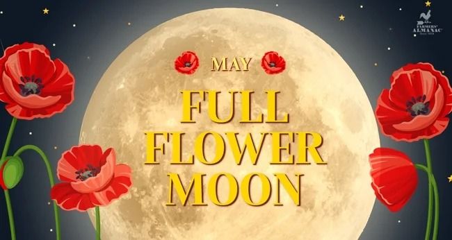 Raffle Drawing and Full Flower Moon Hike with Kelly Orr and Gerri Griswold