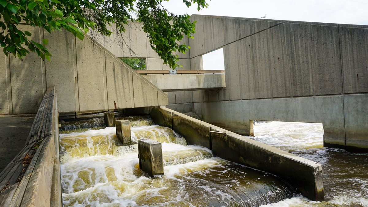 Grand River Walking Tour