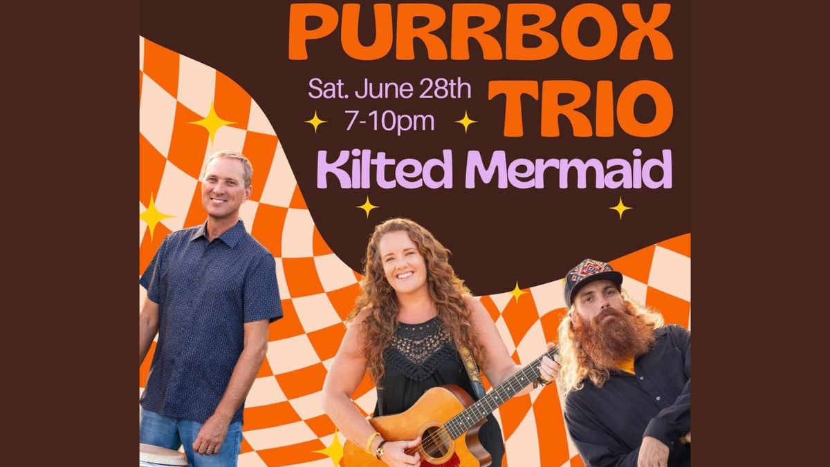 Purrbox Trio LIVE at Kilted Mermaid