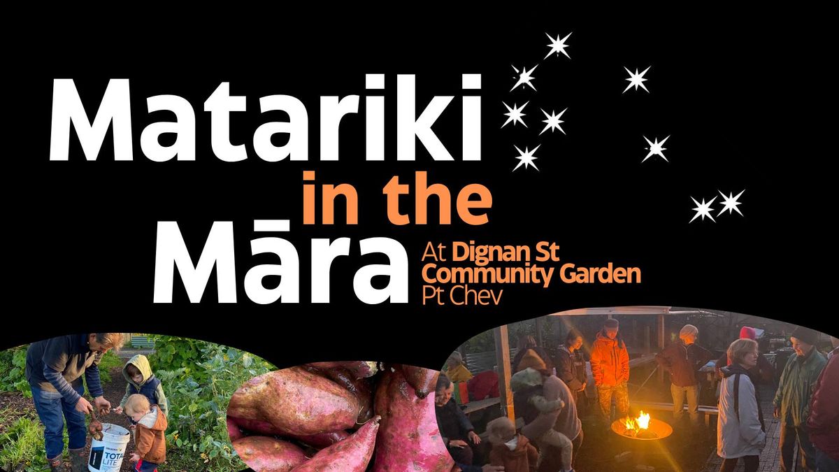Matariki celebration