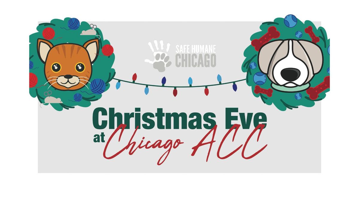 Christmas Eve at Chicago Animal Care and Control 